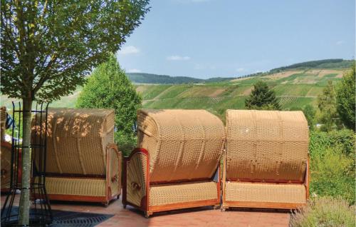 Beautiful Home In Riol An Der Mosel With Kitchen