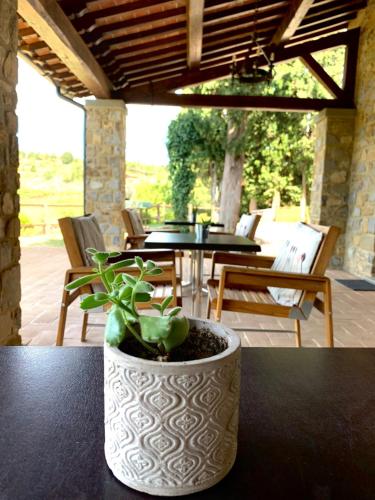B&B Lavanda e Rosmarino 3
