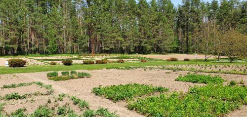 Pilnų namų bendruomenės apartamentai