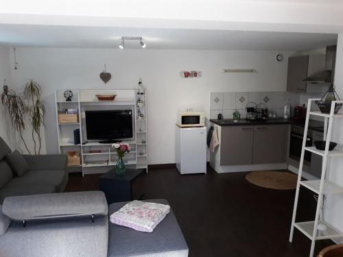 Appartement F2 de 50m2 équipé à 5min de Colmar - Location saisonnière - Horbourg-Wihr