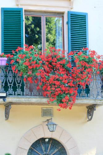 Villa Sant’Andrea - image 5