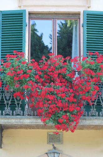 Villa Sant’Andrea - image 4