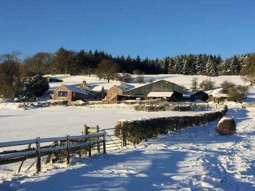 The Granary at Pentregaer Ucha, tennis court & lake.