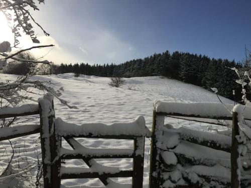 The Granary at Pentregaer Ucha, tennis court & lake.