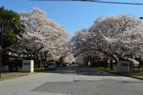 ゆうゆう布佐駅新築戸建Free Wifi