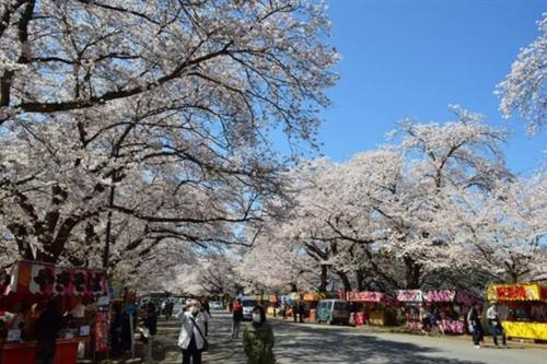 ゆうゆう布佐駅新築戸建Free Wifi