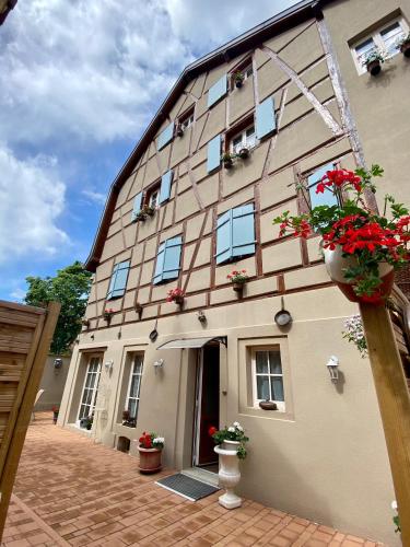 Coeur d'Alsace Colmar Vignobles Ouest avec terrasses