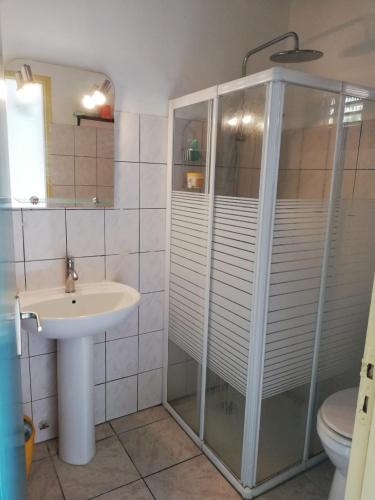 Bougainvillea de rêve (Bougainvillea de reve) in Sainte-Anne