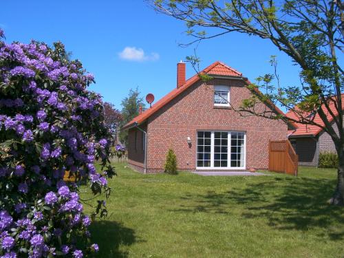 Eschenhaus in Norden, Deutschland