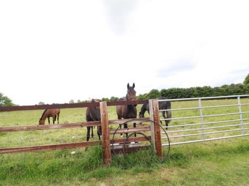 A szálláshely kívülről, Flagstone Cottage in Pilley