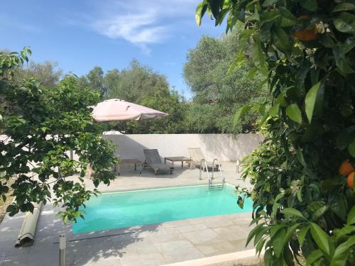 Villa Piscine privative 4/6 personnes Corse gîte à louer Solaro
