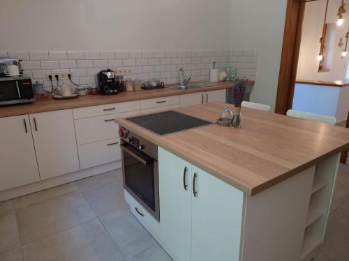 Tiszara nezo hevereszo - Lounger overlooking the Tisza river in Tiszavasvári