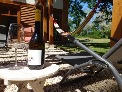 Tiszara nezo hevereszo - Lounger overlooking the Tisza river in Tiszavasvári