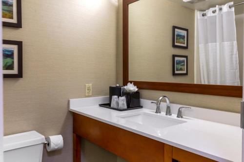 Comfort Inn University Durham - Chapel Hill