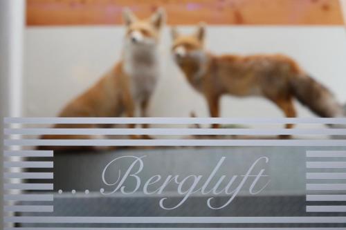 Hotel DAS ROYAL in Obereggen