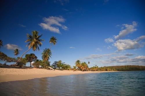 plage, Las Terrazas Los Chivos in Vieques Island