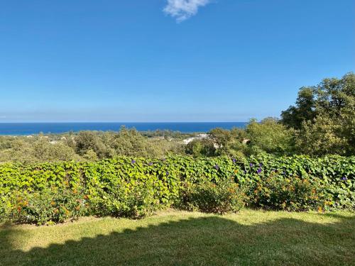 Villa panorama maquis et mer, plage à 1,5 Km