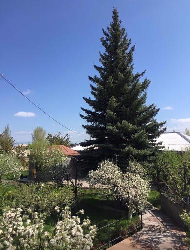 Apple Tree Family Home (ECO), Dzorakap (photo 8)