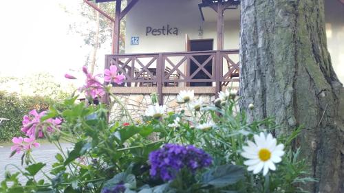 Pestka - Accommodation - Jastarnia