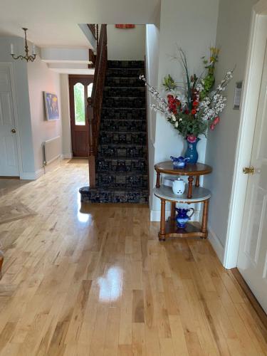 Attrezzature e servizi, Ros Villa Guesthouse in Killarney