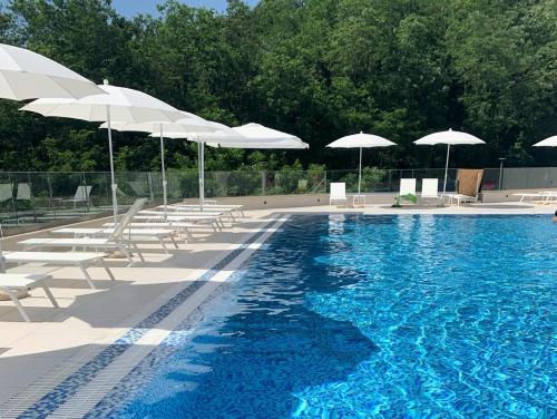 Comfort studio with sea view and swimming pool, Bečići (foto 5)