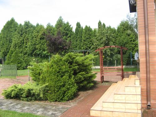 Photo - Kalinowy Sen