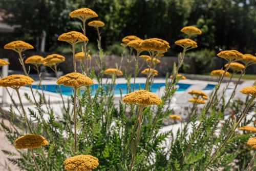 Villa Jelena with pool & playground