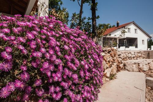 Villa Jelena with pool & playground