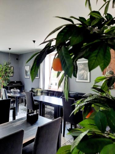 Lake & Library boutique Hotel in Ignalina