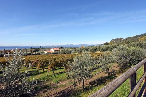 Appartamenti Bellavista - image 4