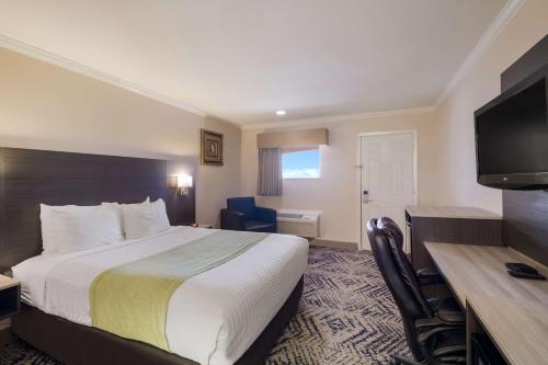 1 queen bed