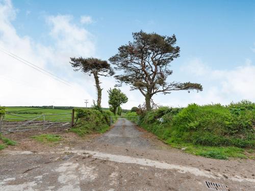 Cilwen Fach - image 5