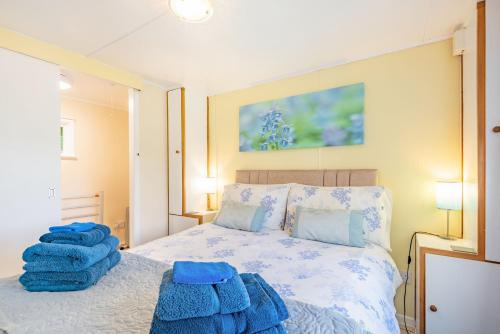 Bluebell Cottage Llanrwst - image 10