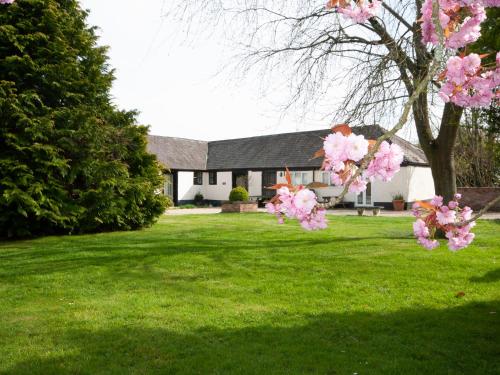 Corner Cottage - Shaftesbury