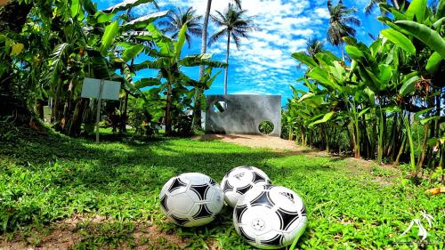 Asian Secret Resort – Lamai Beach, UT