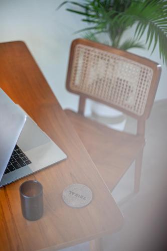 TRIBAL Coworking Bali – Canggu, CO