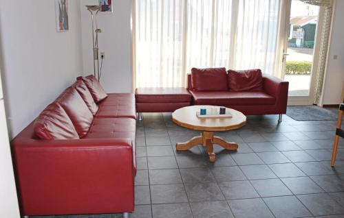 Holiday home Hippolytushoef - image 12
