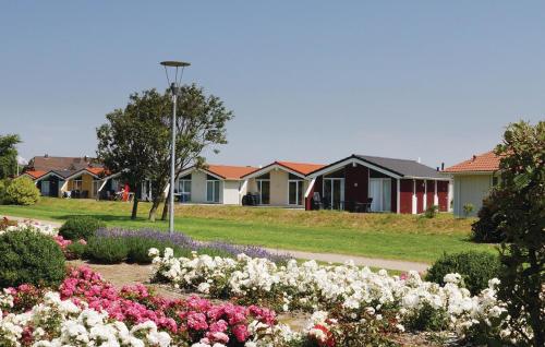 Deichblick 12 - Dorf 2 T - image 6