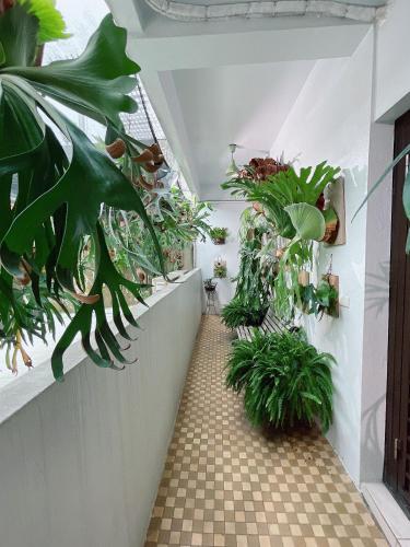 Home In Tainan - image 3