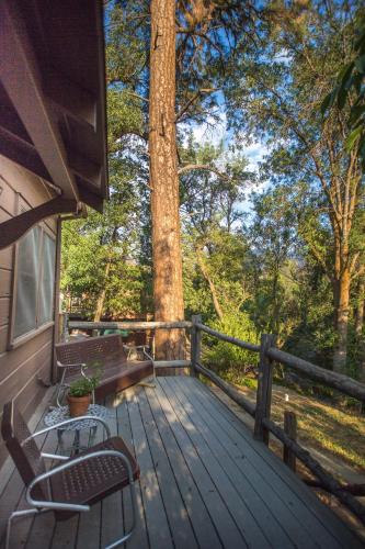 Quiet Mind Lodge, Retreat & Spa Sequoias - 주변 환경