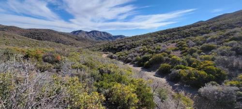 Glamping Adventures LV - image 14