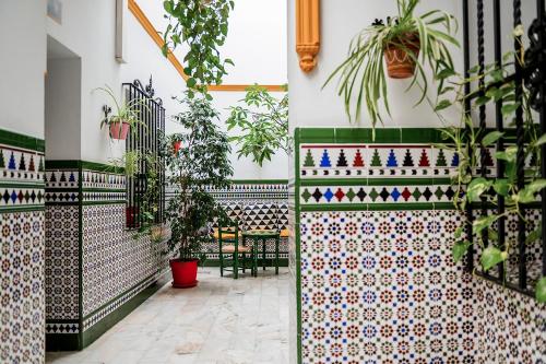 Triana Backpackers - image 8