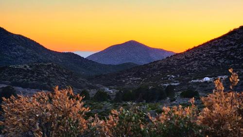 Glamping Adventures LV - image 13