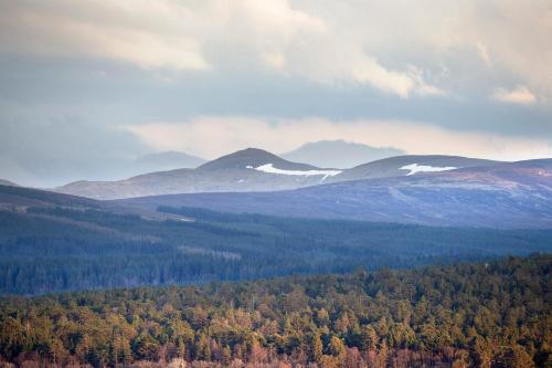 Wallace - image 13