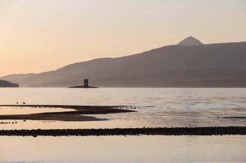 Wallace - image 5