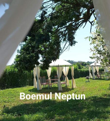 Boemul Neptun in Comuna 23 August