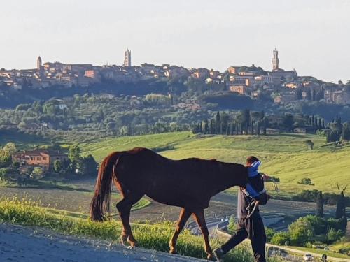  DAGO Farmhouse in Siena