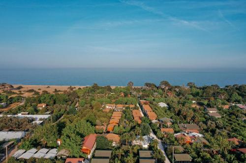Serenity Bungalows - image 9