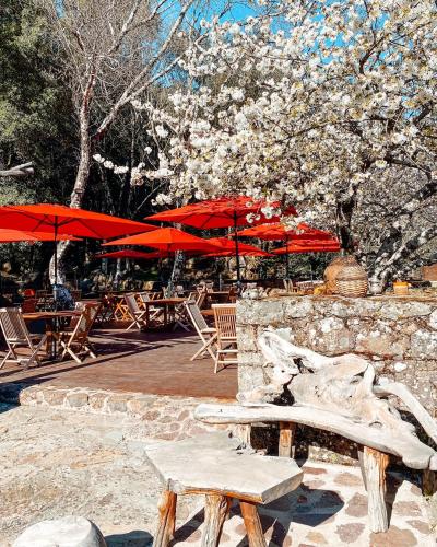 Auberge De La Foret Bonifatu - Hôtel - Calenzana