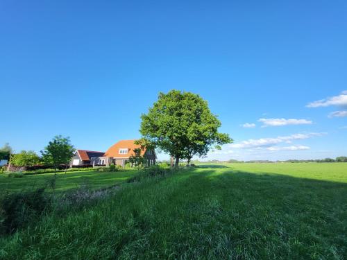Bed & Breakfast de Vink, Terschuur